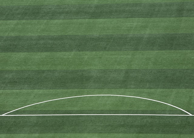 重庆铜梁龙“中超·重庆回来了”冲超庆典圆满举行