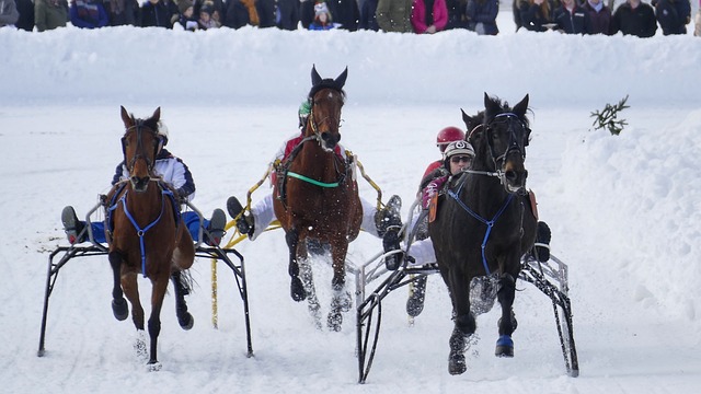 罗马诺：滕哈格正与阿贾克斯谈回归执教，但尚未做出决定